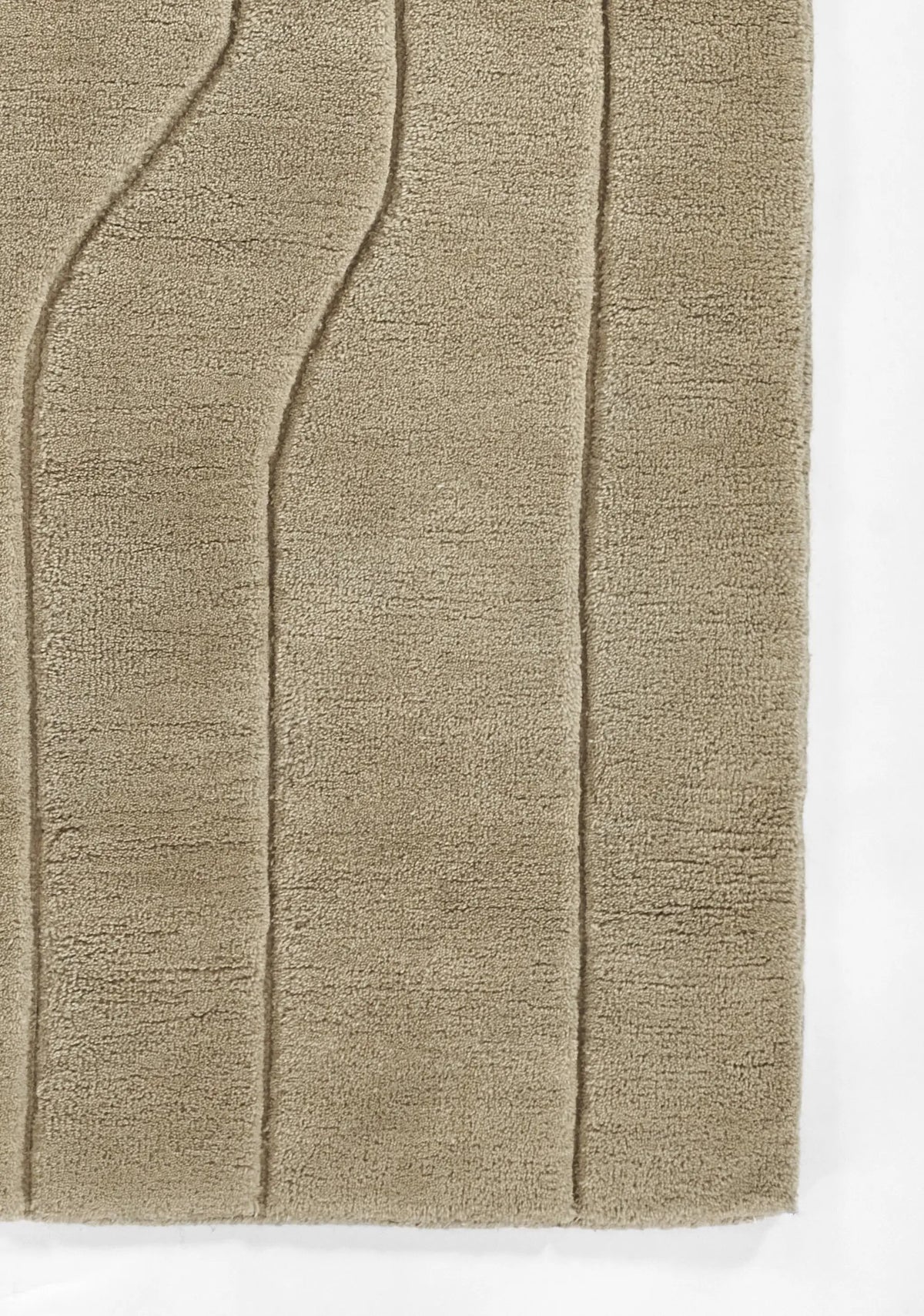 Canyon CYN-1 Neutral Area Rug by Momeni