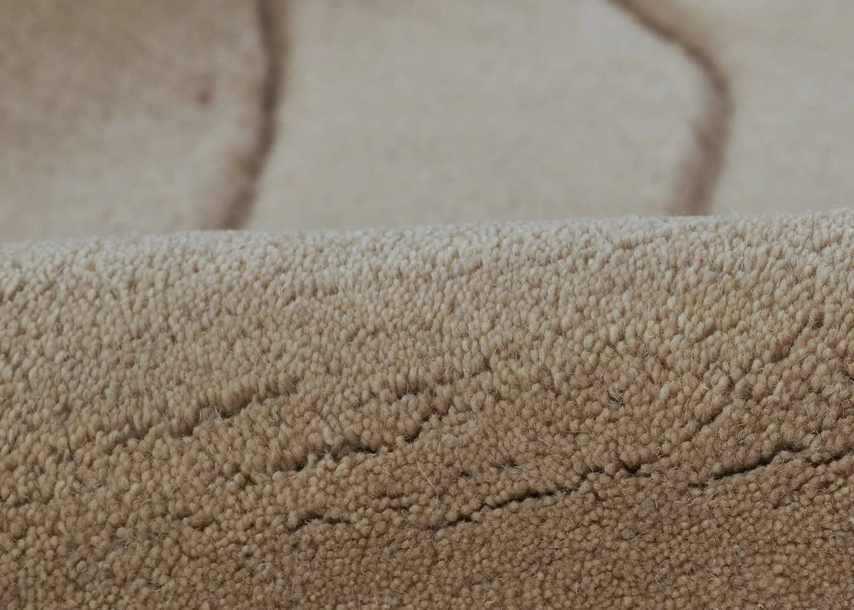 Canyon CYN-1 Neutral Area Rug by Momeni