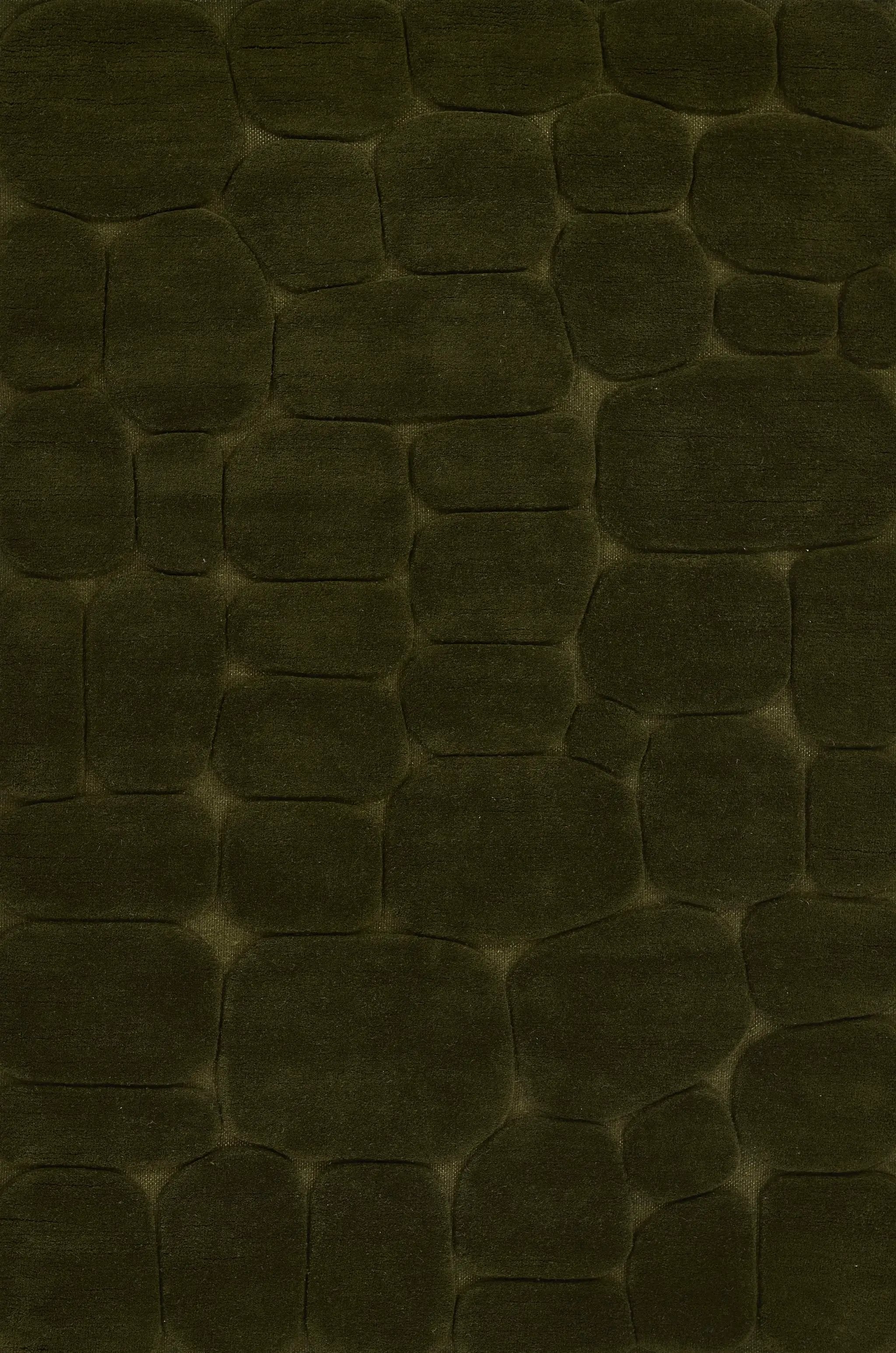 Canyon CYN-2 Green Area Rug by Momeni