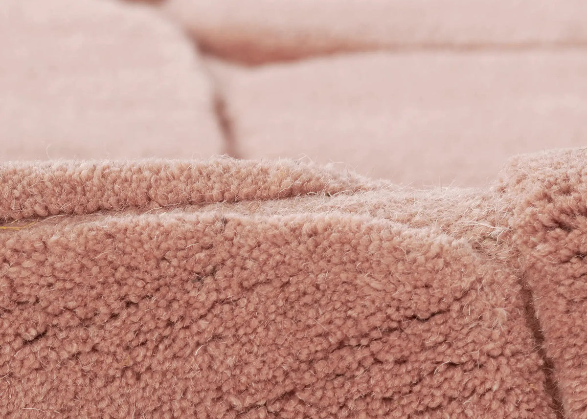 Canyon CYN-2 Pink Area Rug by Momeni