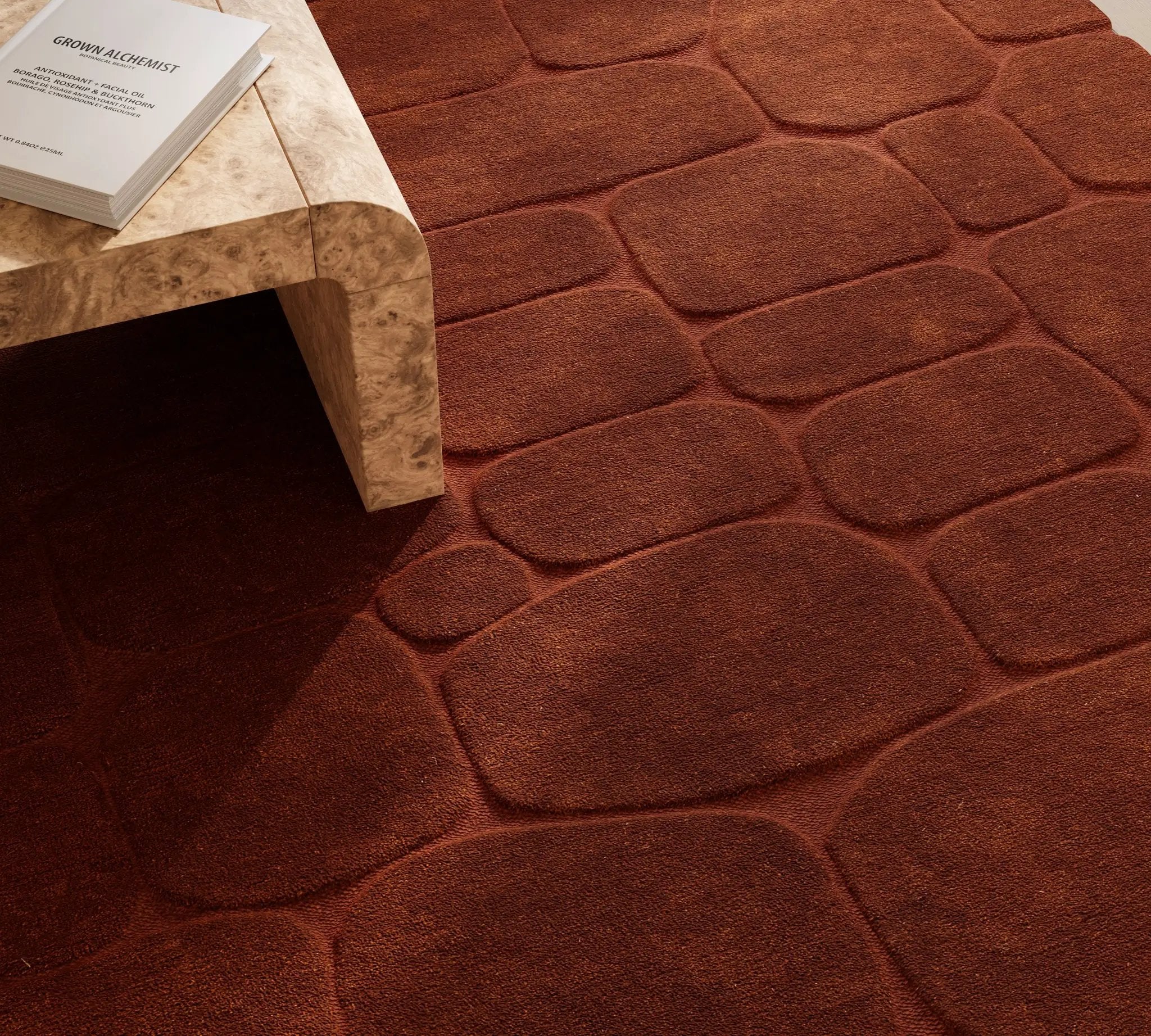 Canyon CYN-2 Rust Area Rug by Momeni