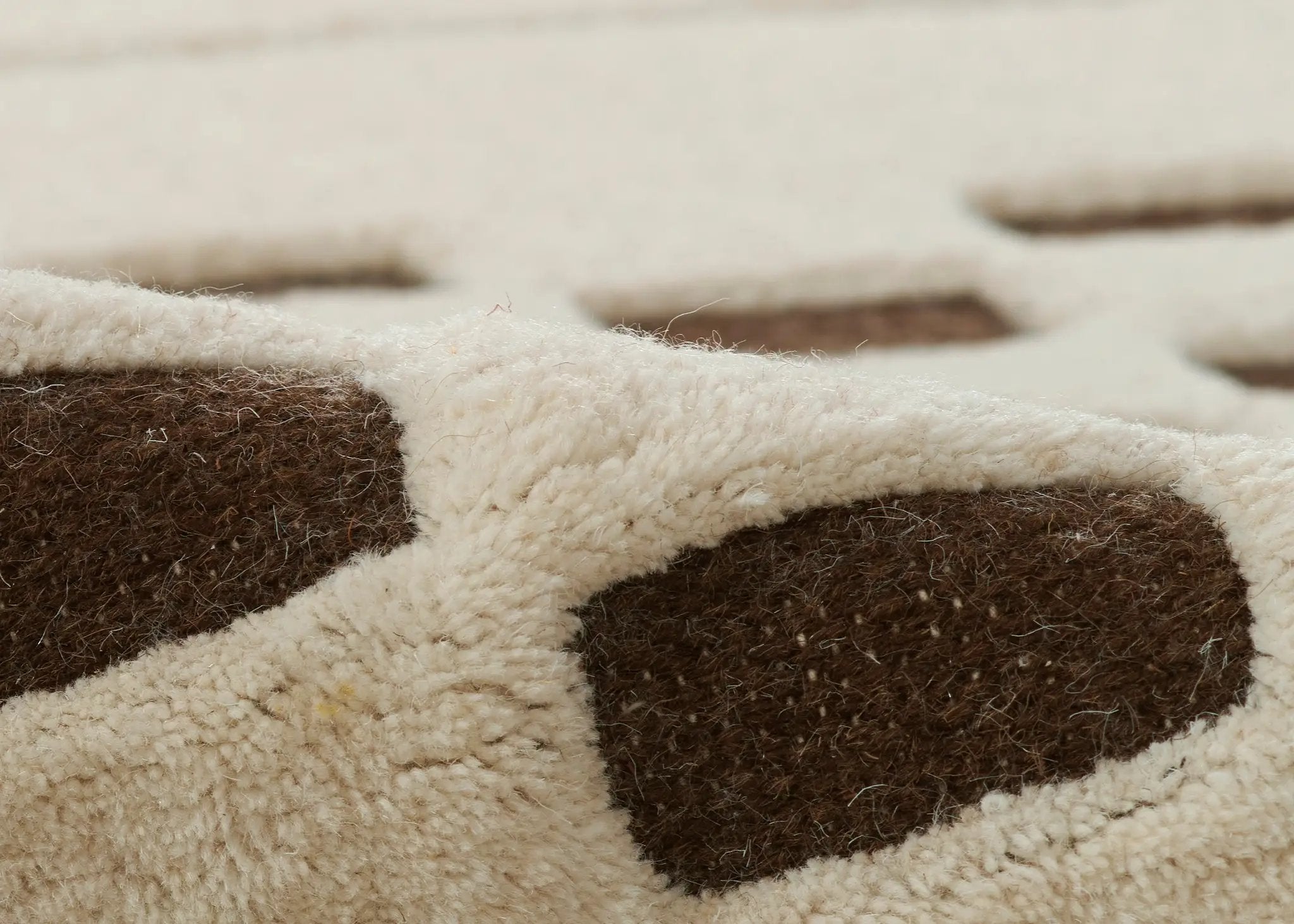 Canyon CYN-3 Brown Area Rug by Momeni