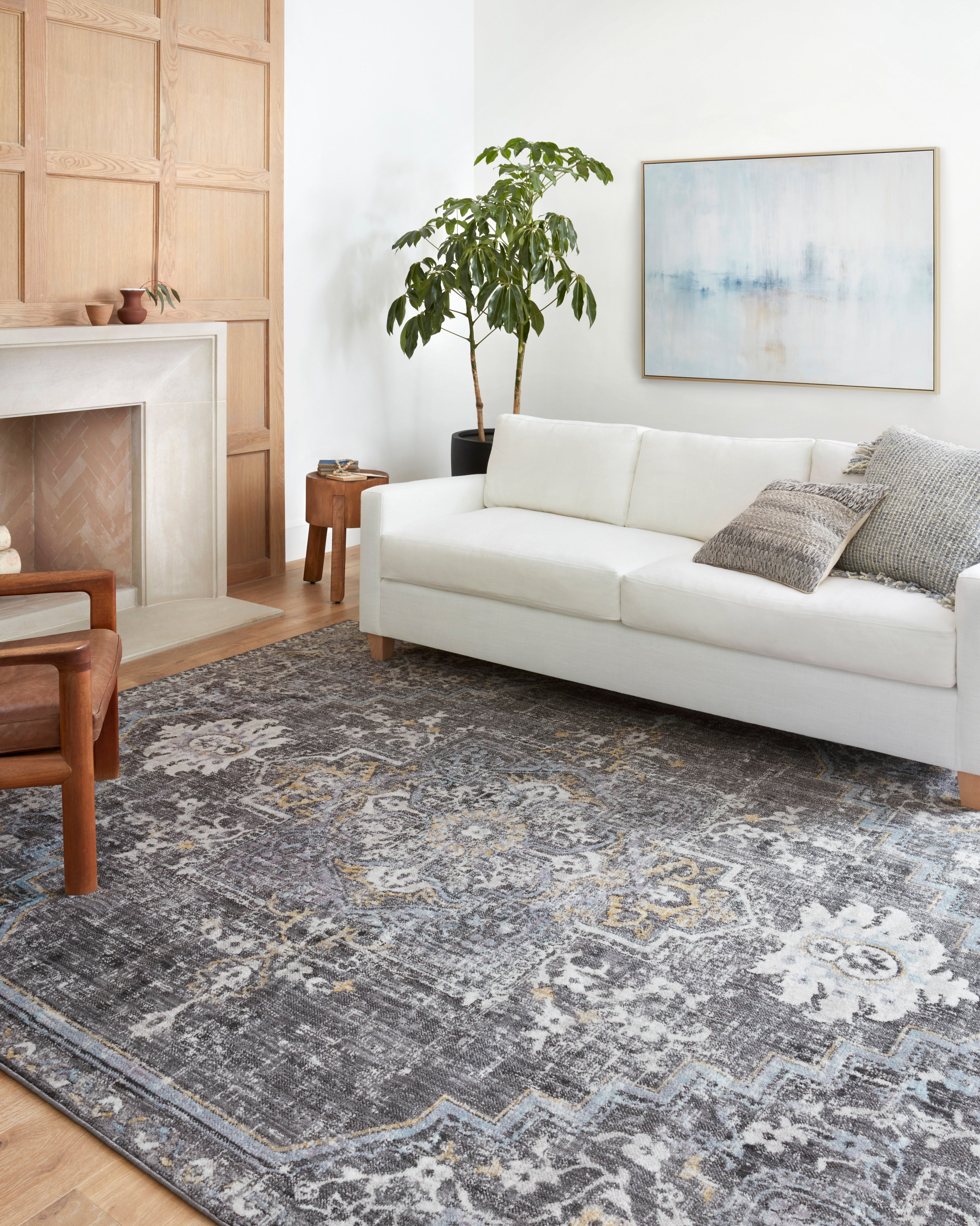 Loloi Cassandra CSN-02 Charcoal / Gold Area Rug