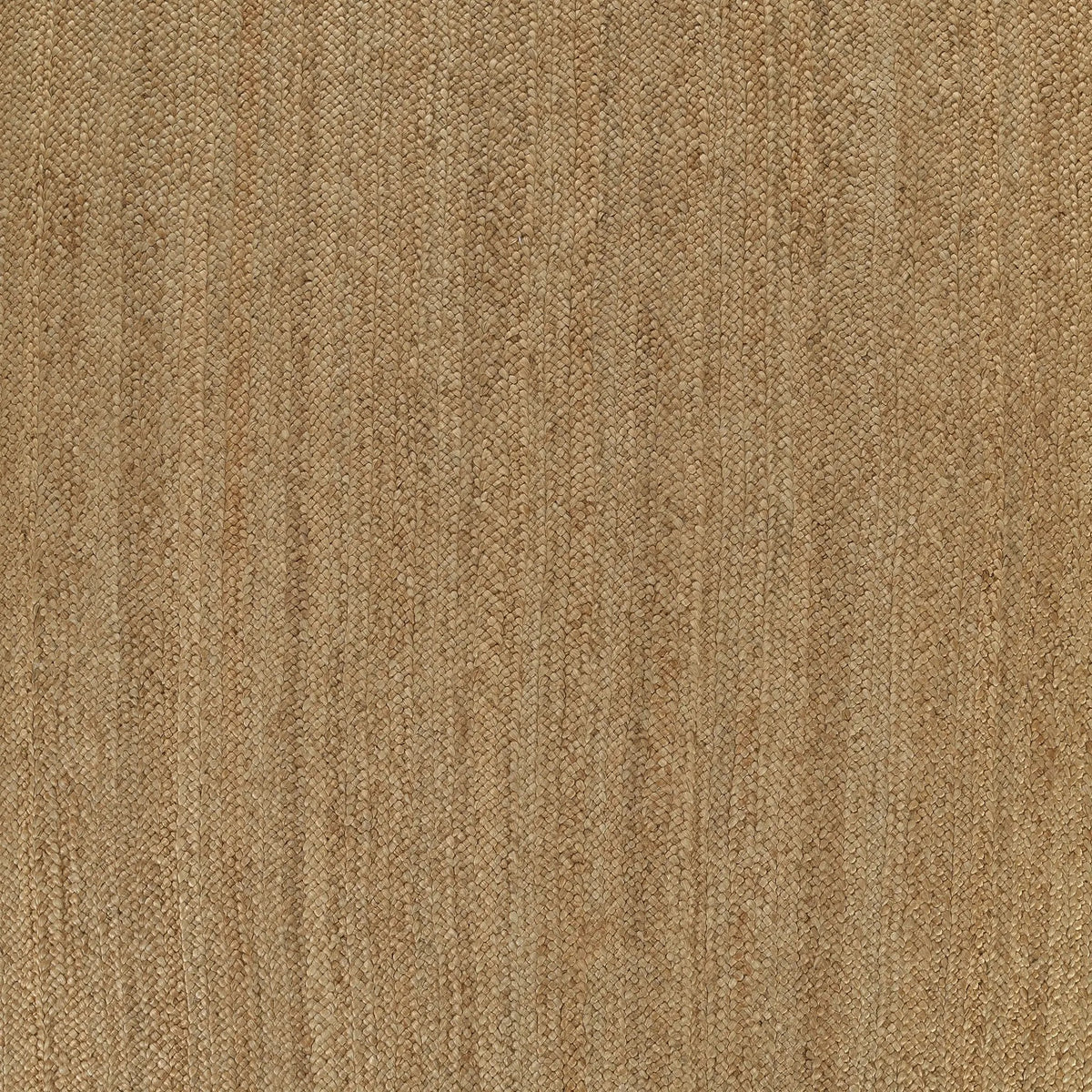 Cassis CIS-1 (Braid) Natural Area Rug by Pure Salt by Momeni