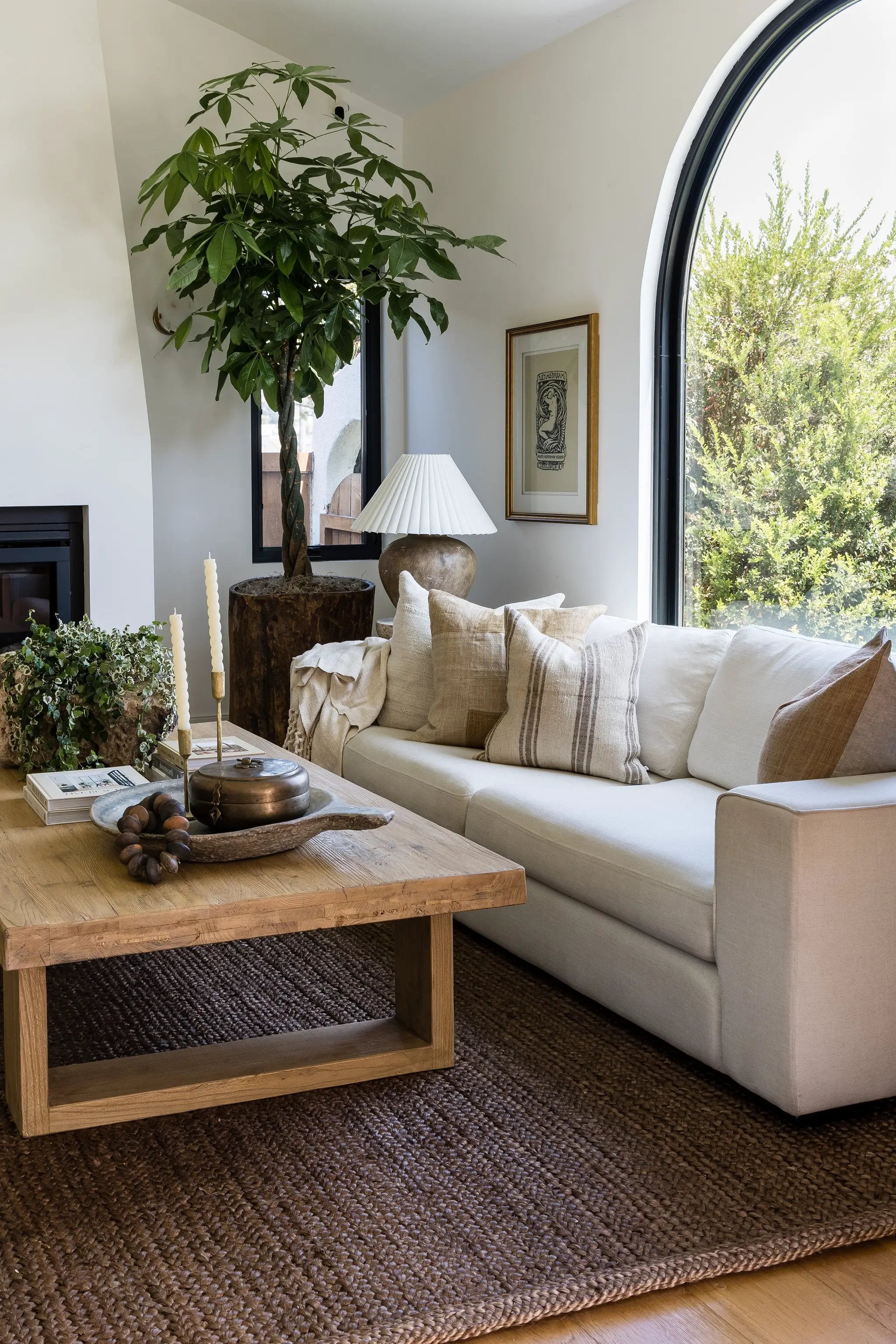 Cassis CIS-1 (Braid) Walnut Area Rug by Pure Salt by Momeni