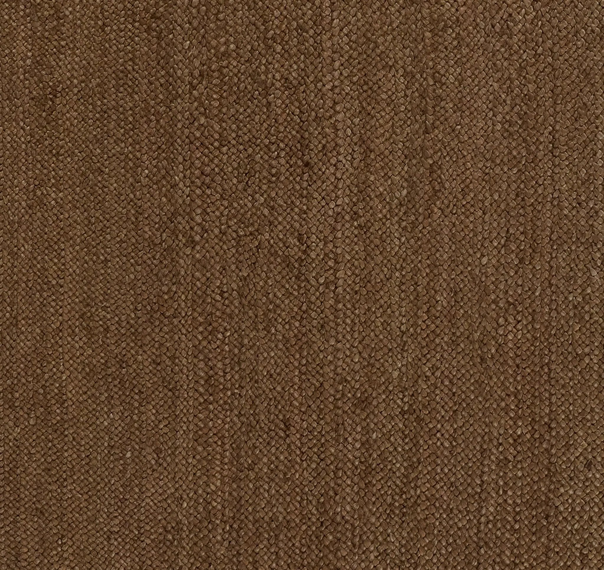 Cassis CIS-1 (Braid) Walnut Area Rug by Pure Salt by Momeni