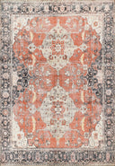 Momeni Chandler CHN-7 Rust Area Rug