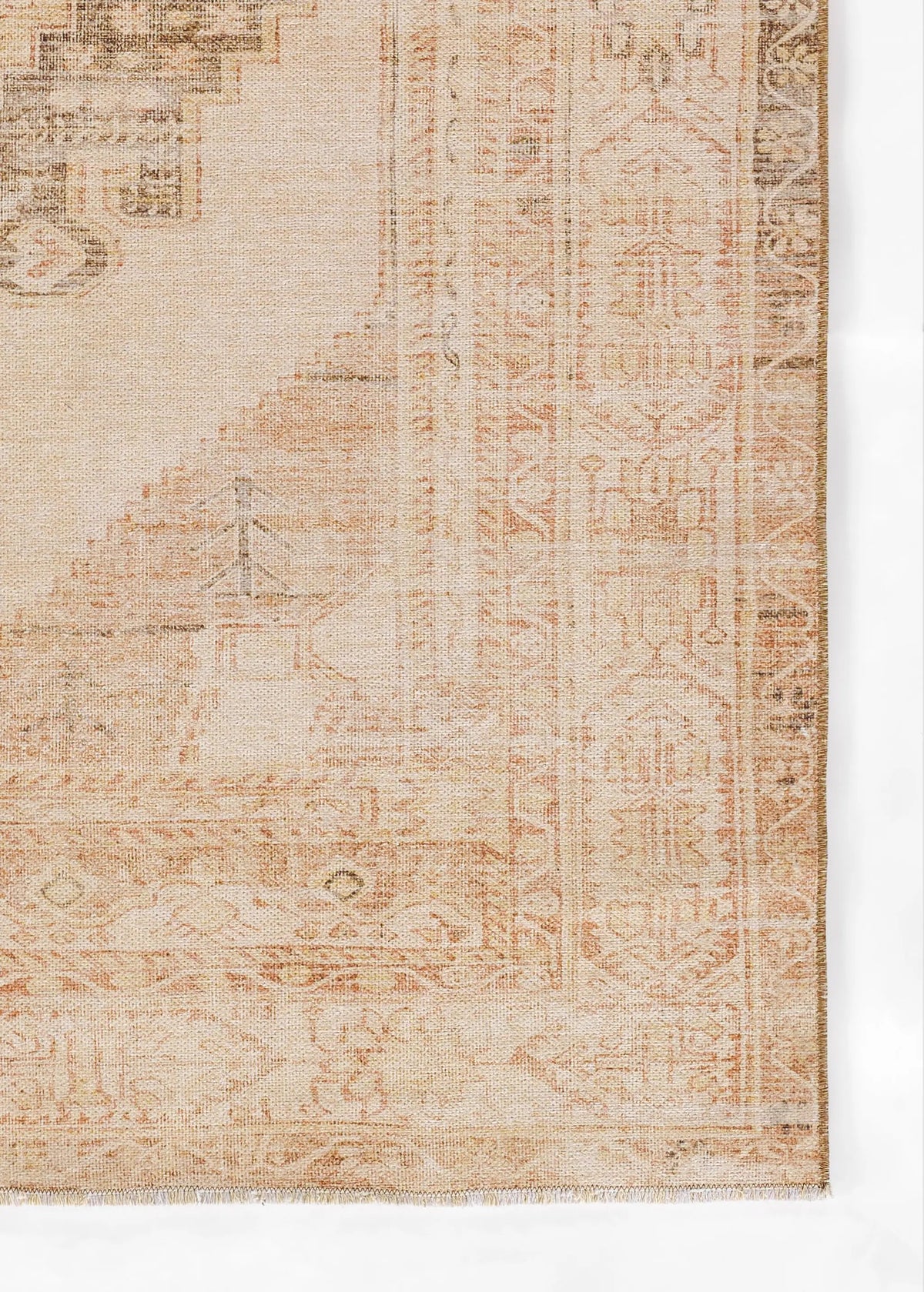 Chandler CHN-9 Beige Area Rug by Momeni