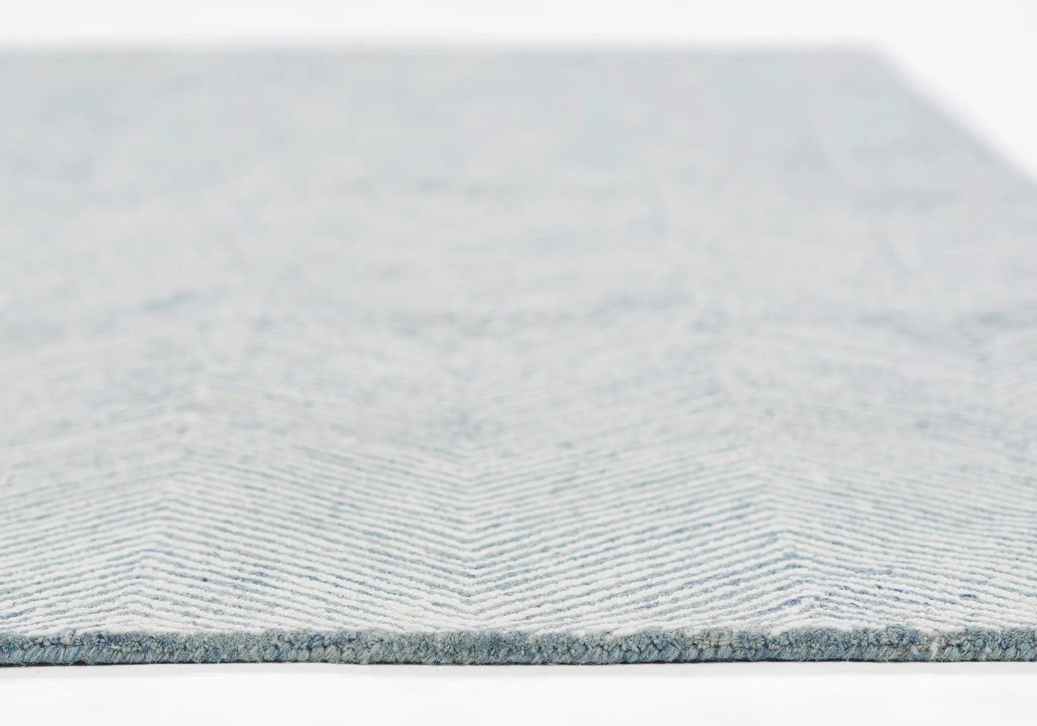 Charles CHR-1 Blue Area Rug by Momeni