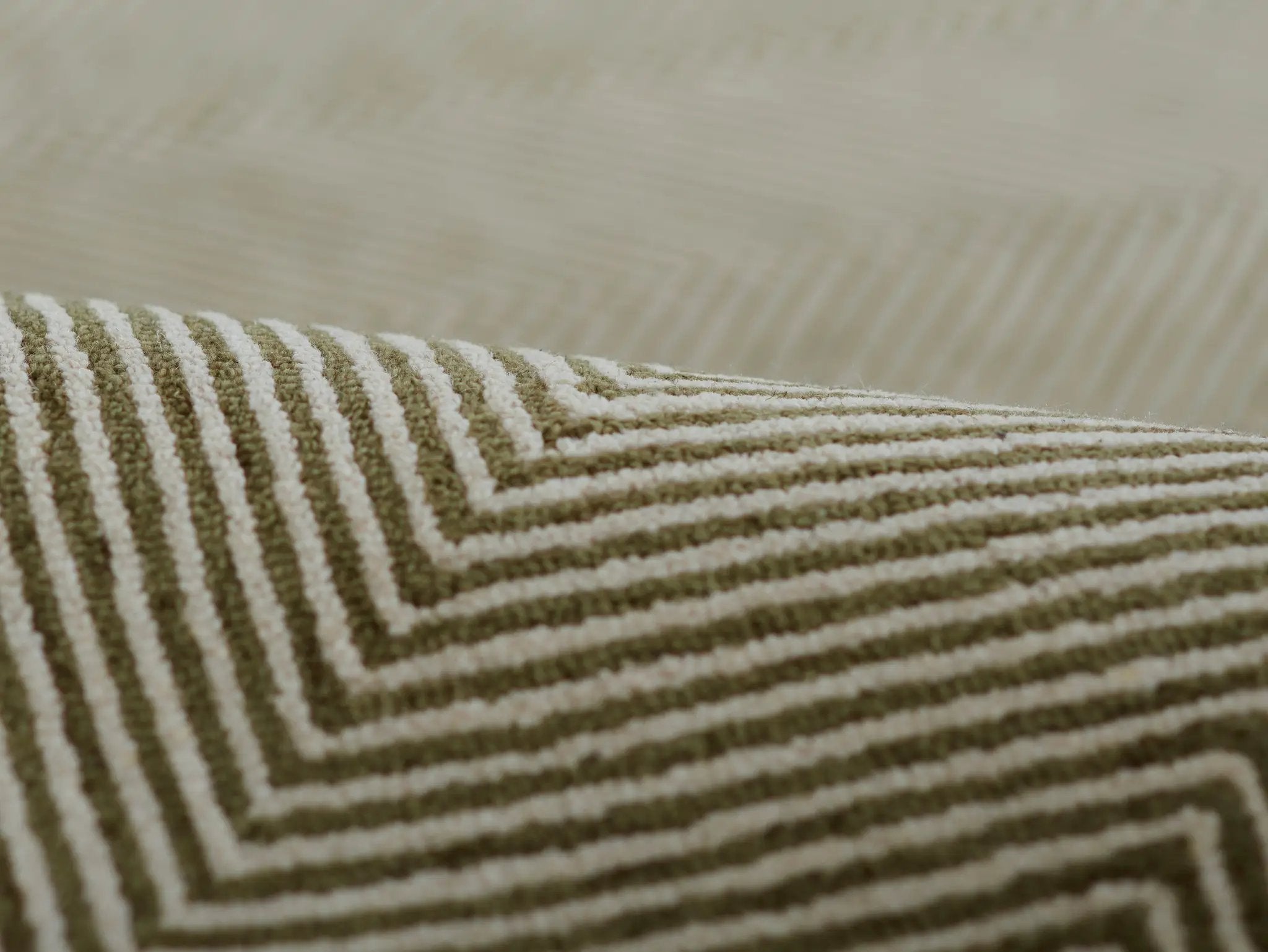 Charles CHR-1 Green Area Rug by Momeni