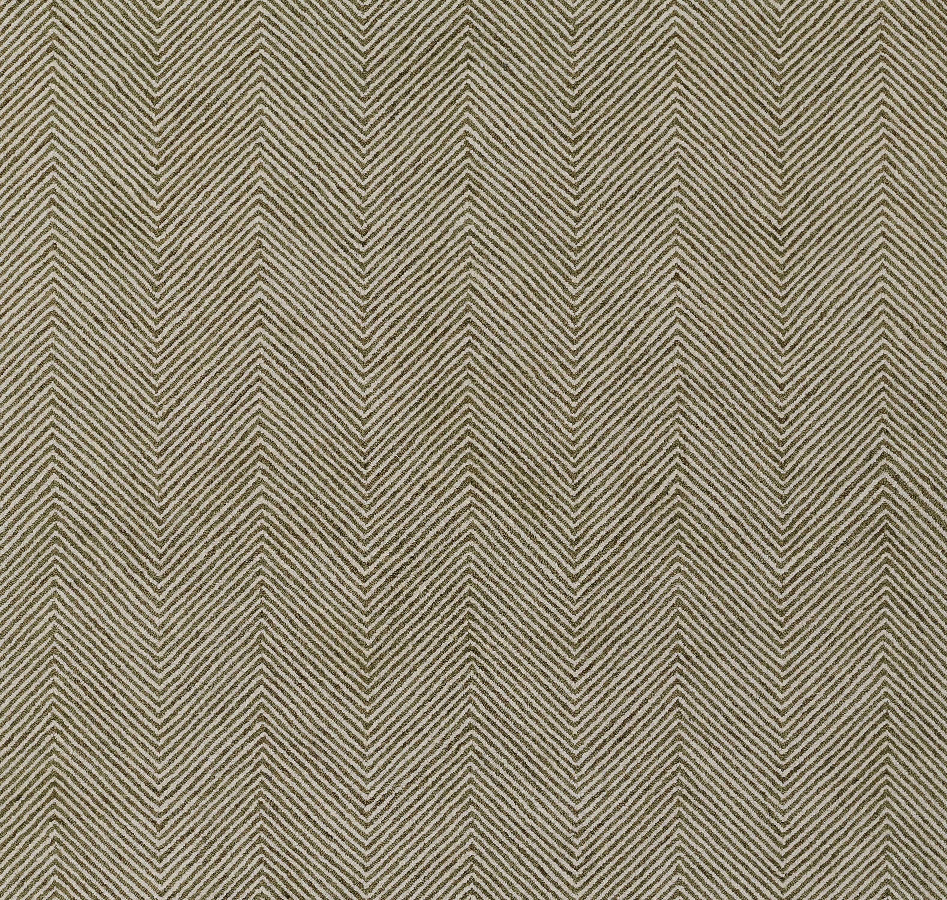 Momeni Charles CHR-1 Green Hand Tufted Area Rug