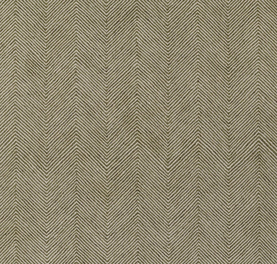 Charles CHR-1 Green Area Rug by Momeni