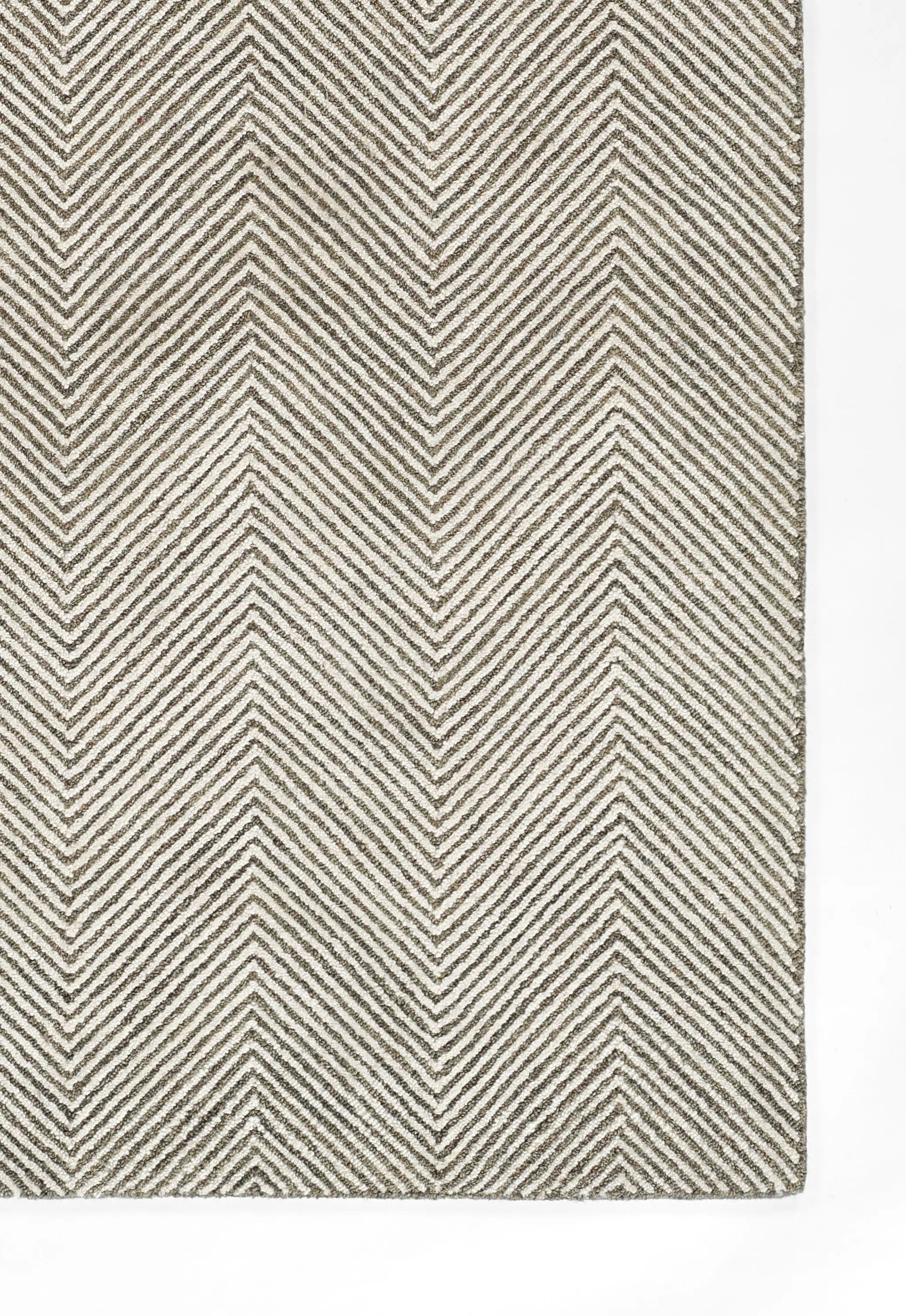 Charles CHR-1 Gray Area Rug by Momeni