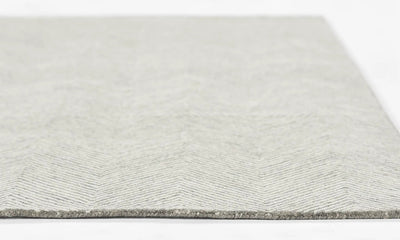 Charles CHR-1 Gray Area Rug by Momeni