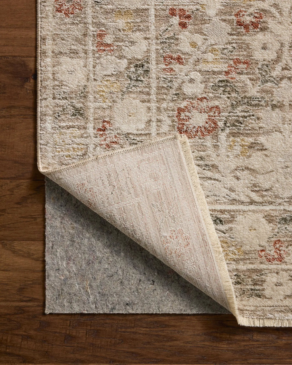 Clarisse CLS-01 Grey / Multi Area Rug by Loloi