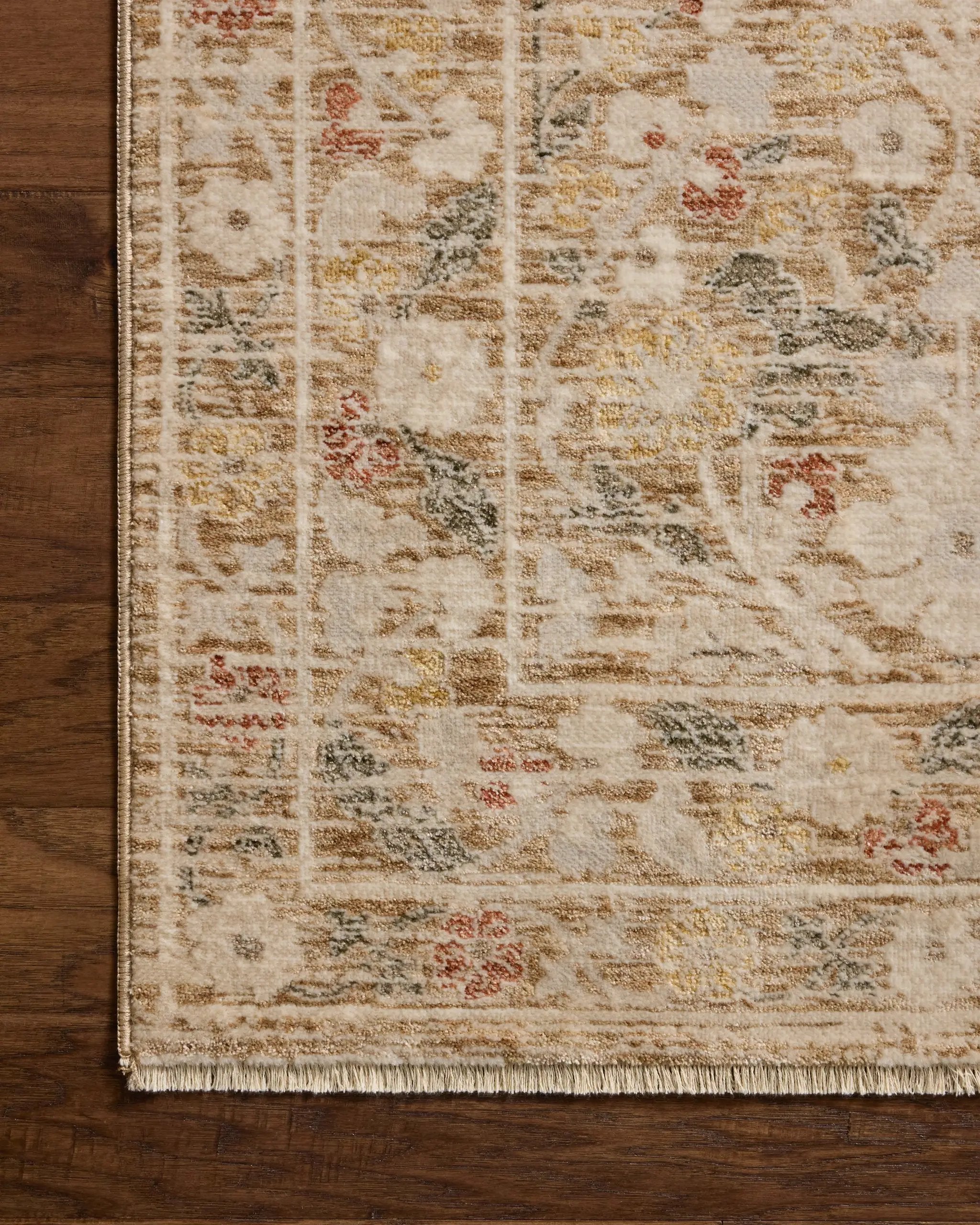 Clarisse CLS-01 Sand / Multi Area Rug by Loloi
