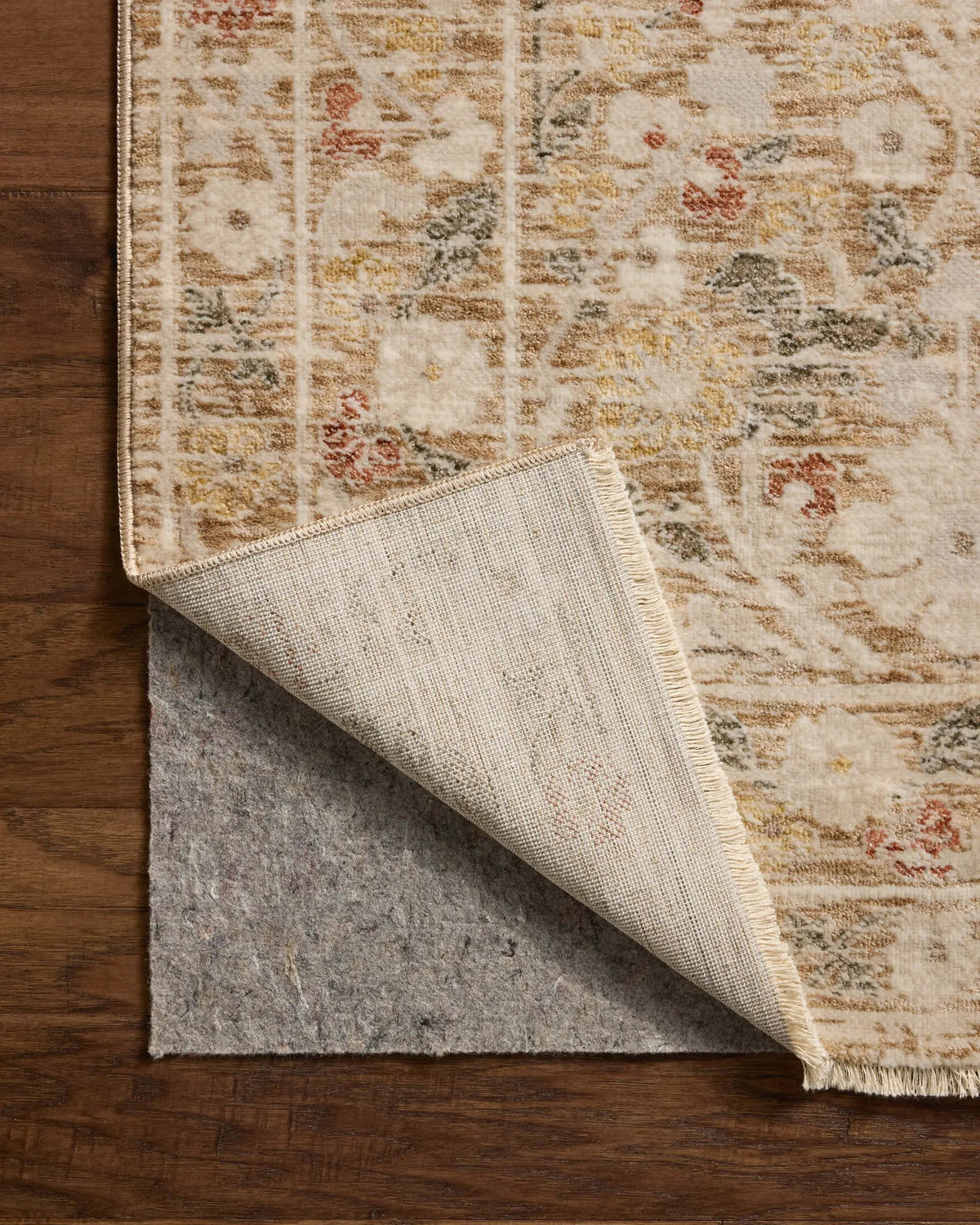 Clarisse CLS-01 Sand / Multi Area Rug by Loloi