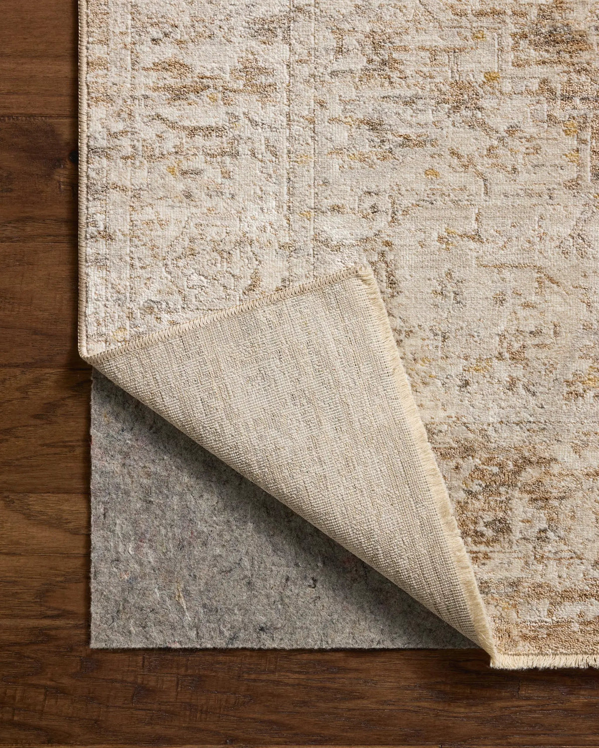 Clarisse CLS-03 Taupe / Dove Area Rug by Loloi