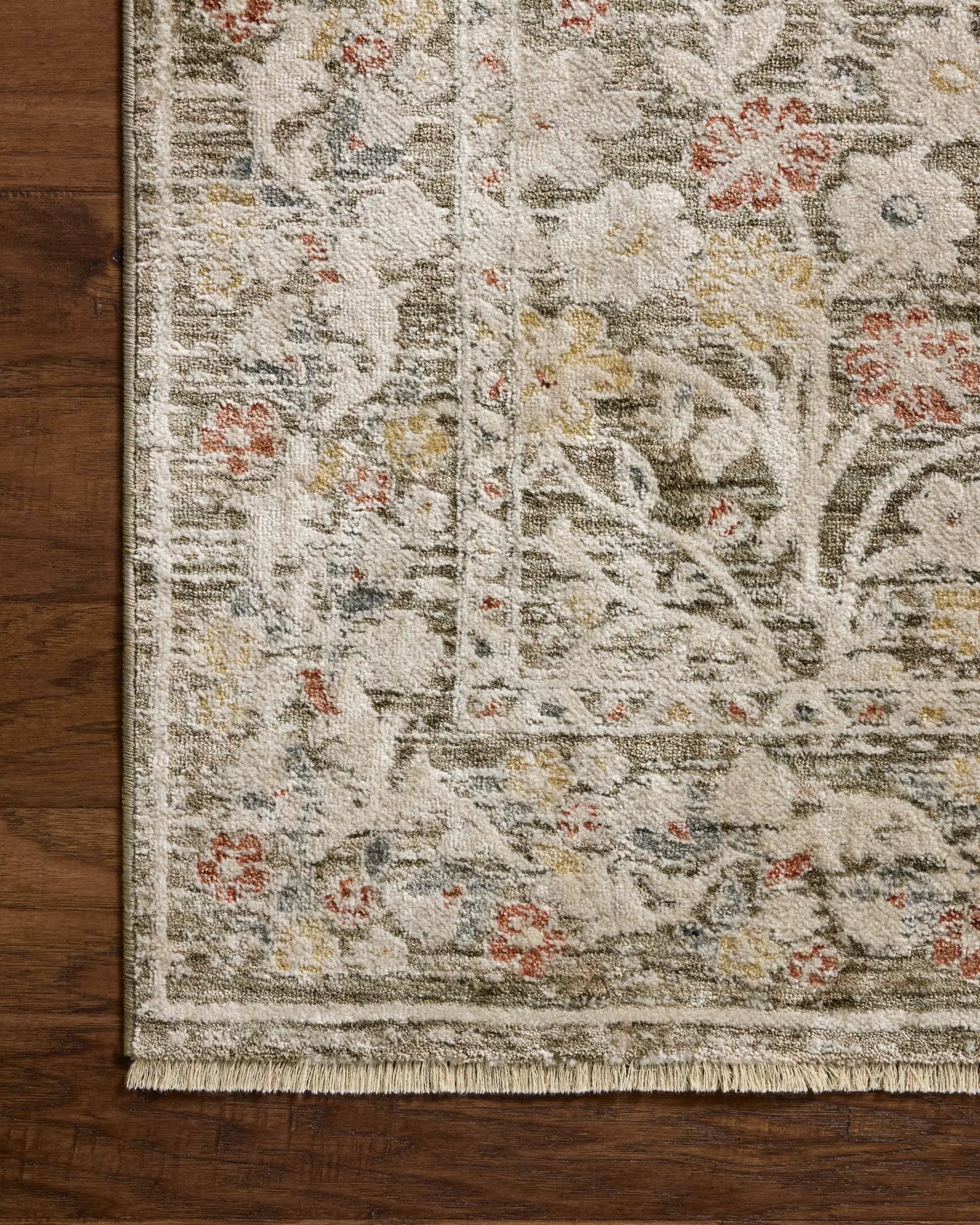 Clarisse CLS-05 Olive / Multi Area Rug by Loloi