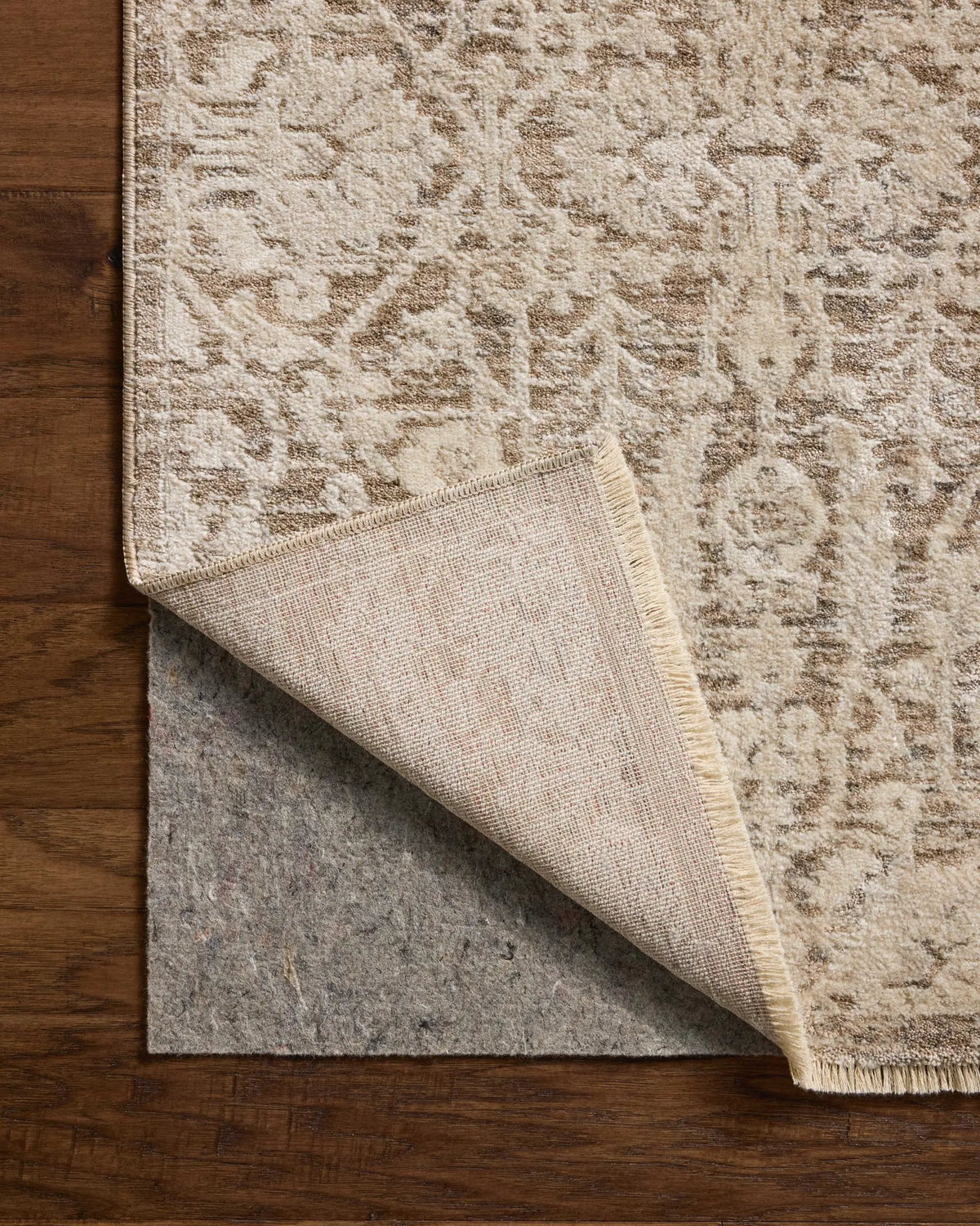 Clarisse CLS-06 Fog / Bone Area Rug by Loloi