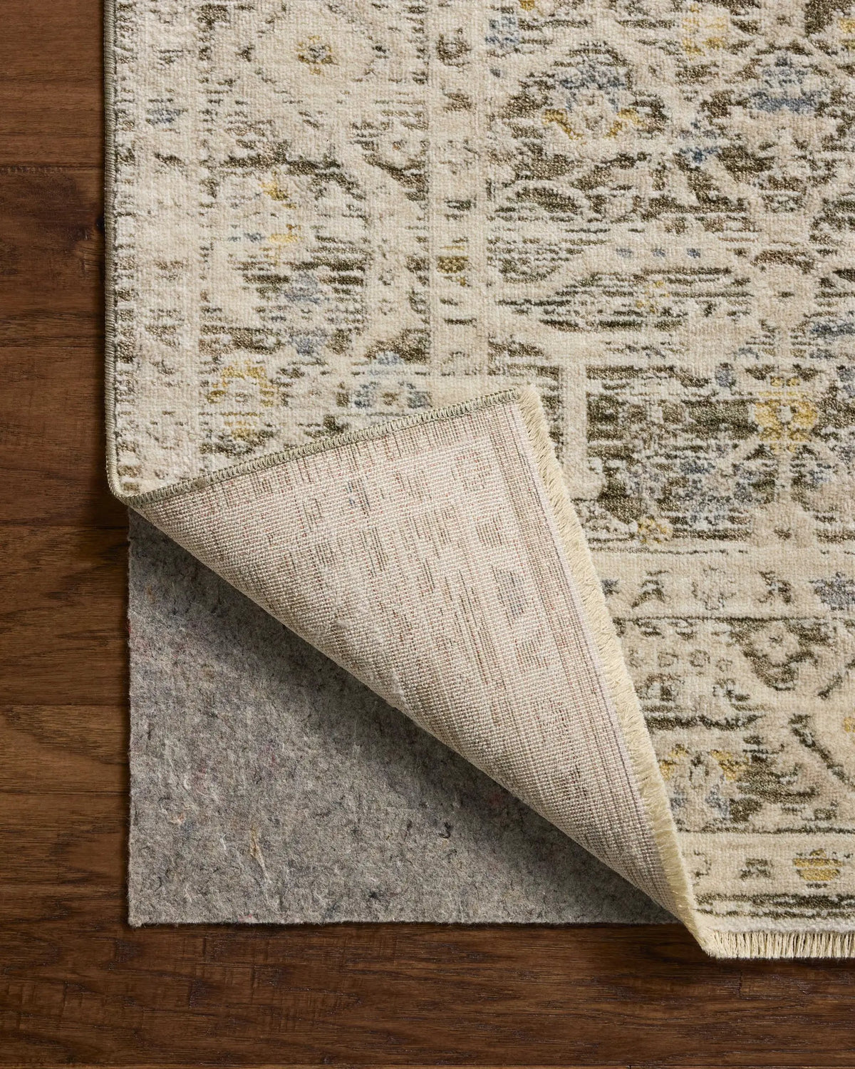 Clarisse CLS-08 Olive / Ivory Area Rug by Loloi
