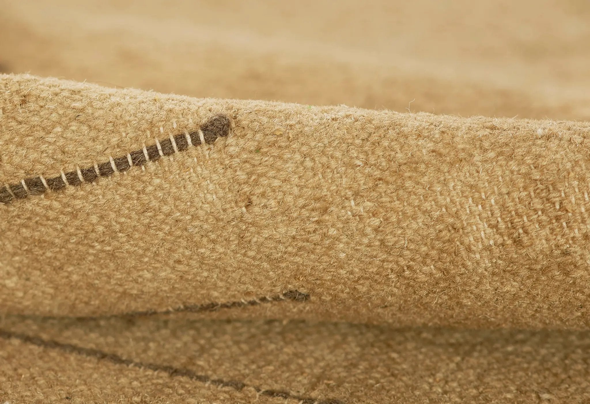 Corfu COF-1 Beige Area Rug by Pure Salt by Momeni