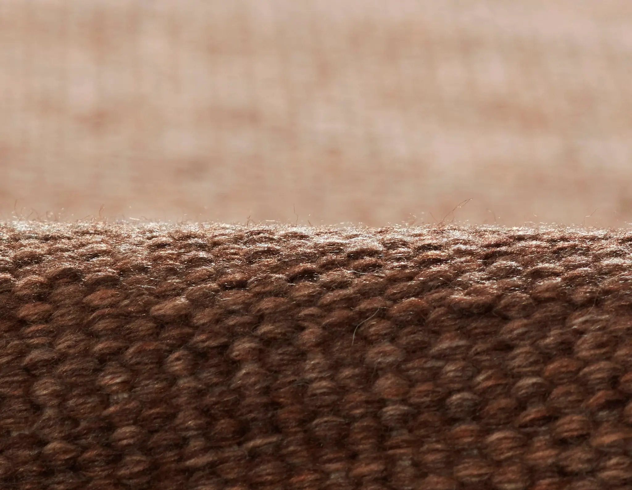 Cove CV-01 Brown Area Rug by Momeni