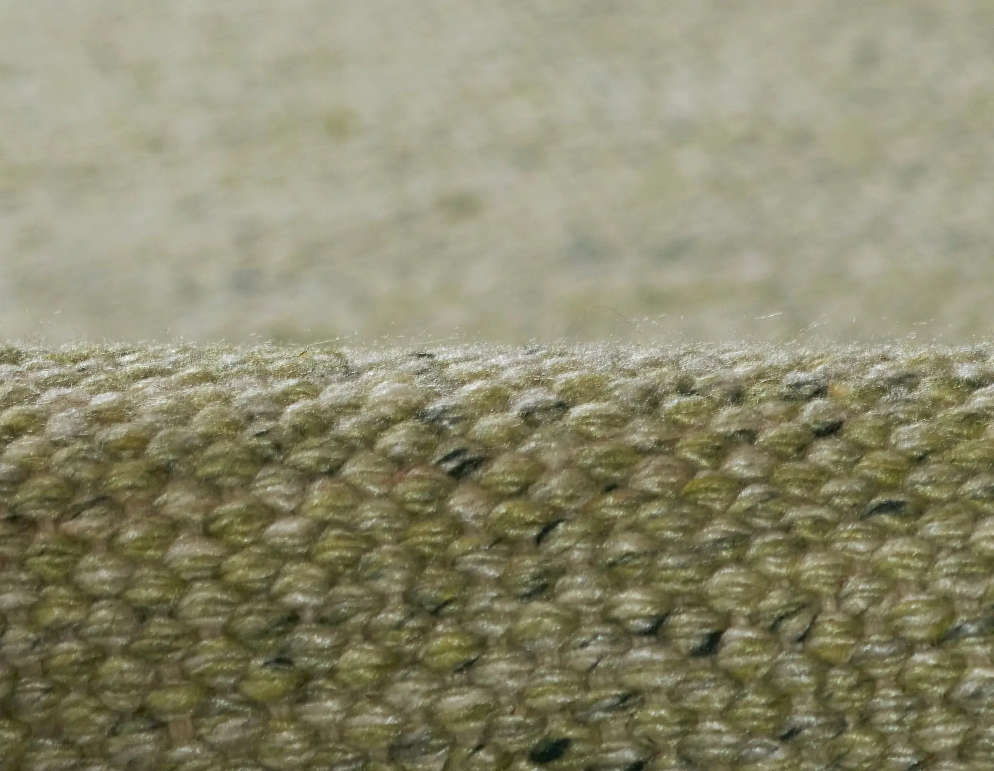 Cove CV-01 Green Area Rug by Momeni