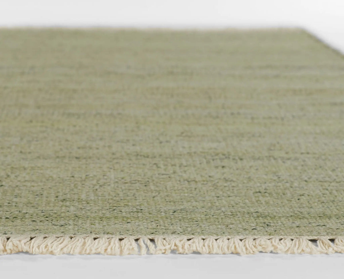 Cove CV-01 Green Area Rug by Momeni