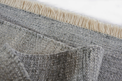 Momeni Cove CV-01 Silver Hand Woven Area Rug