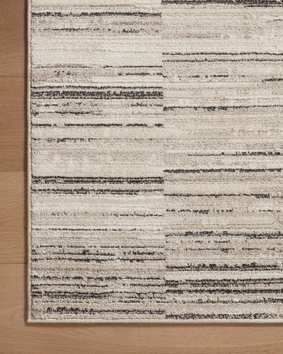 Loloi Darby DAR-01 Charcoal / Sand Area Rug