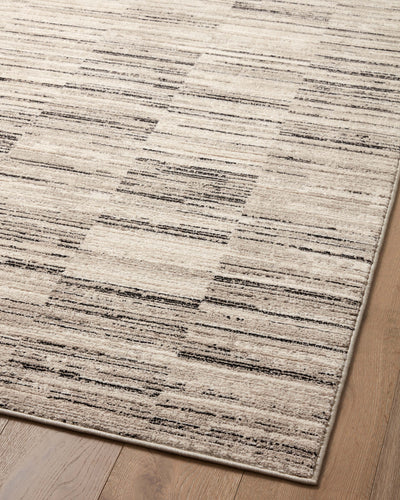 Loloi Darby DAR-01 Charcoal / Sand Area Rug