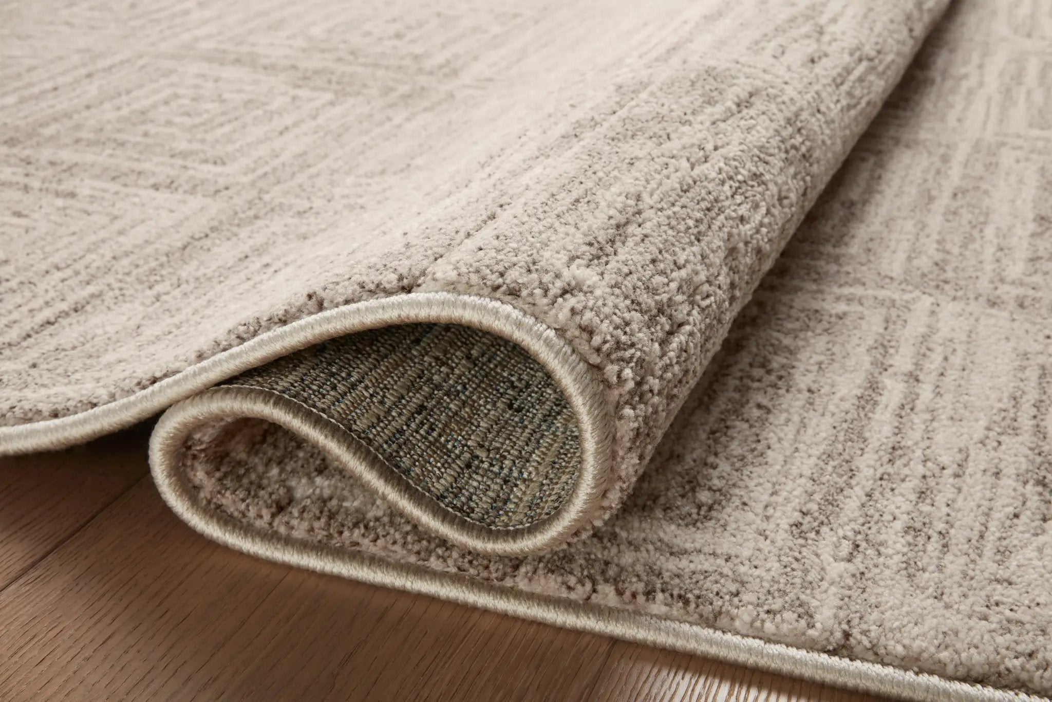 Darby DAR-05 Beige / Grey Area Rug by Loloi