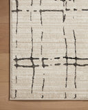 Loloi Darby DAR-06 Sand / Dk. Grey Area Rug