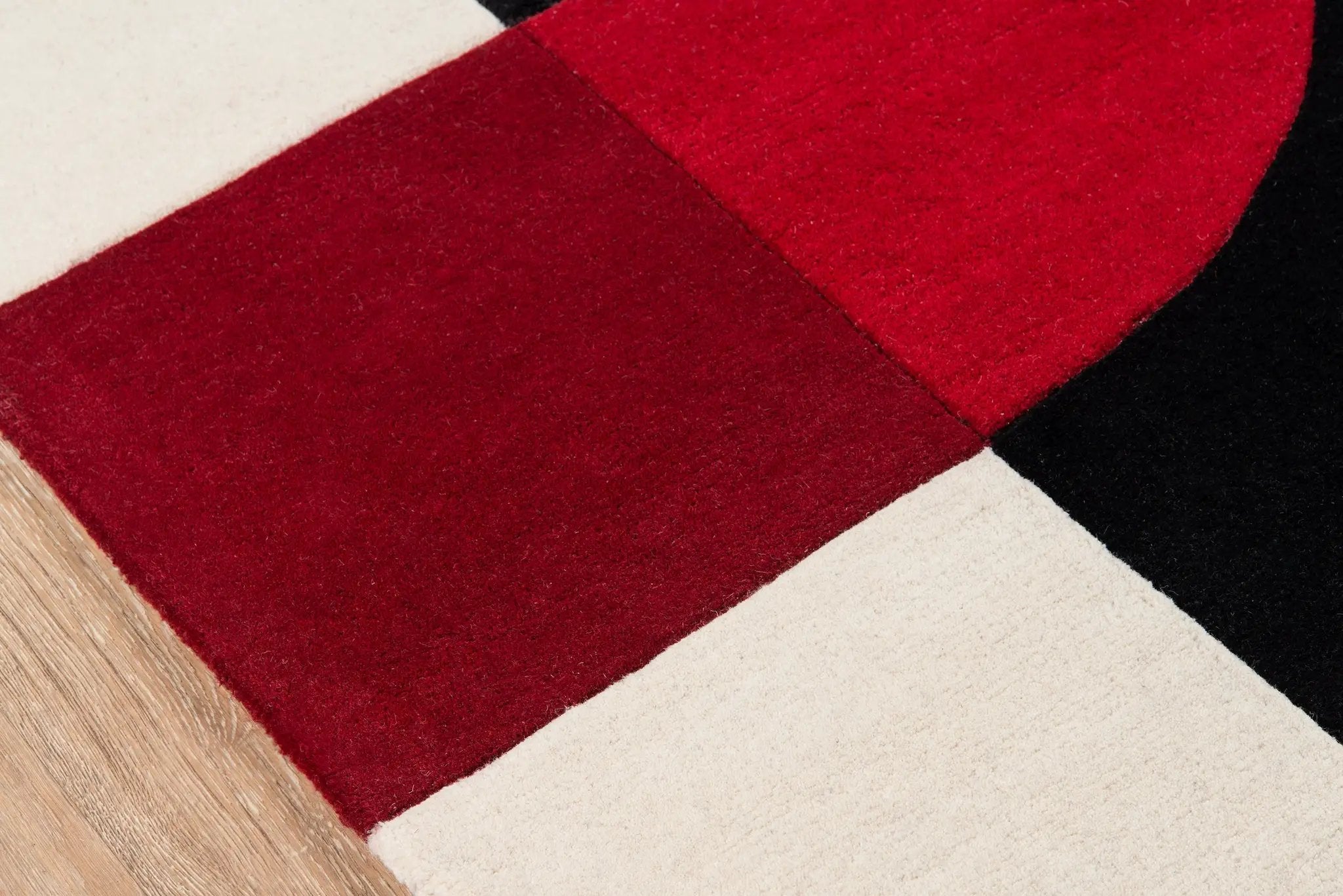 Delhi DL-22 Black Area Rug by Momeni