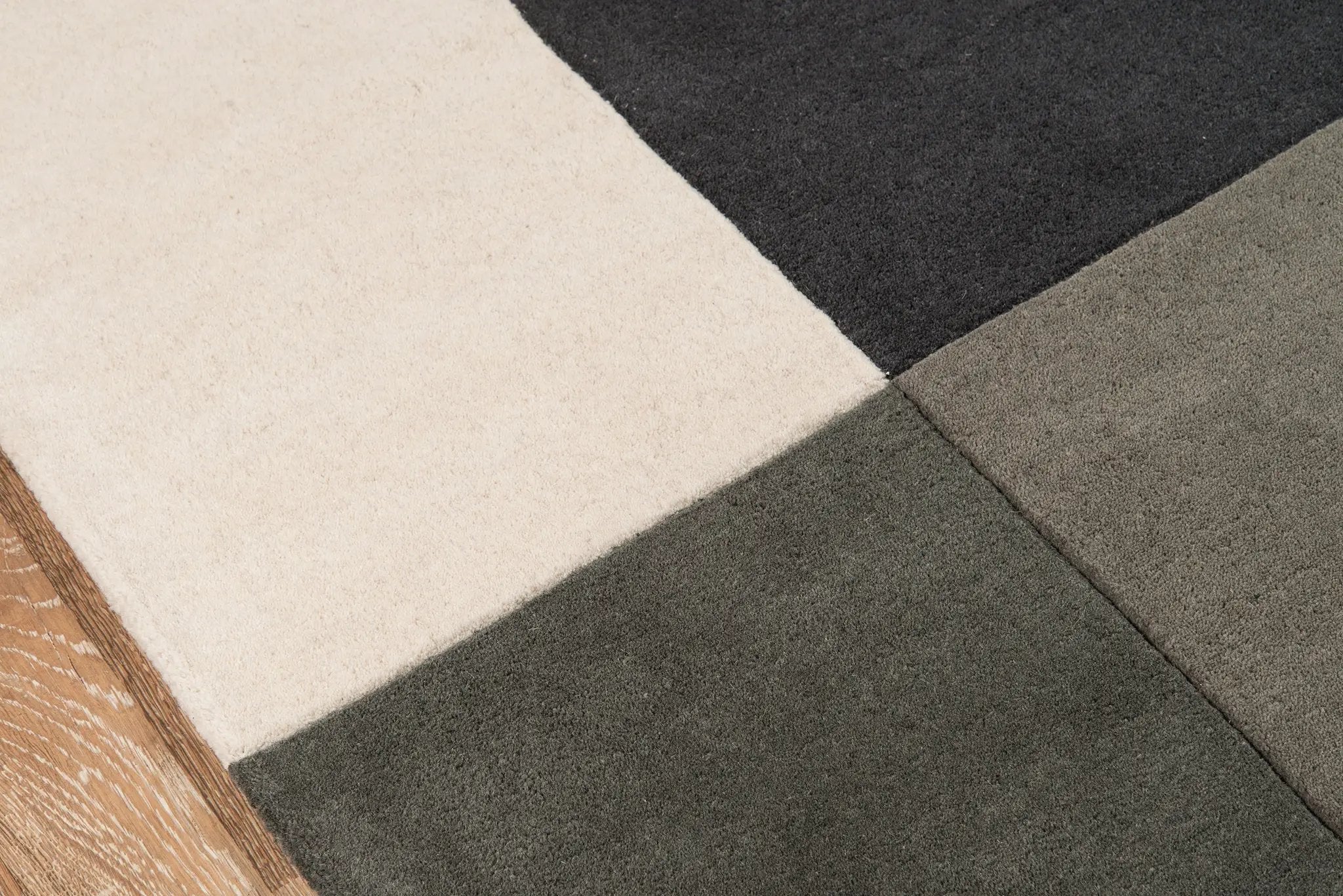 Delhi DL-22 Charcoal Area Rug by Momeni