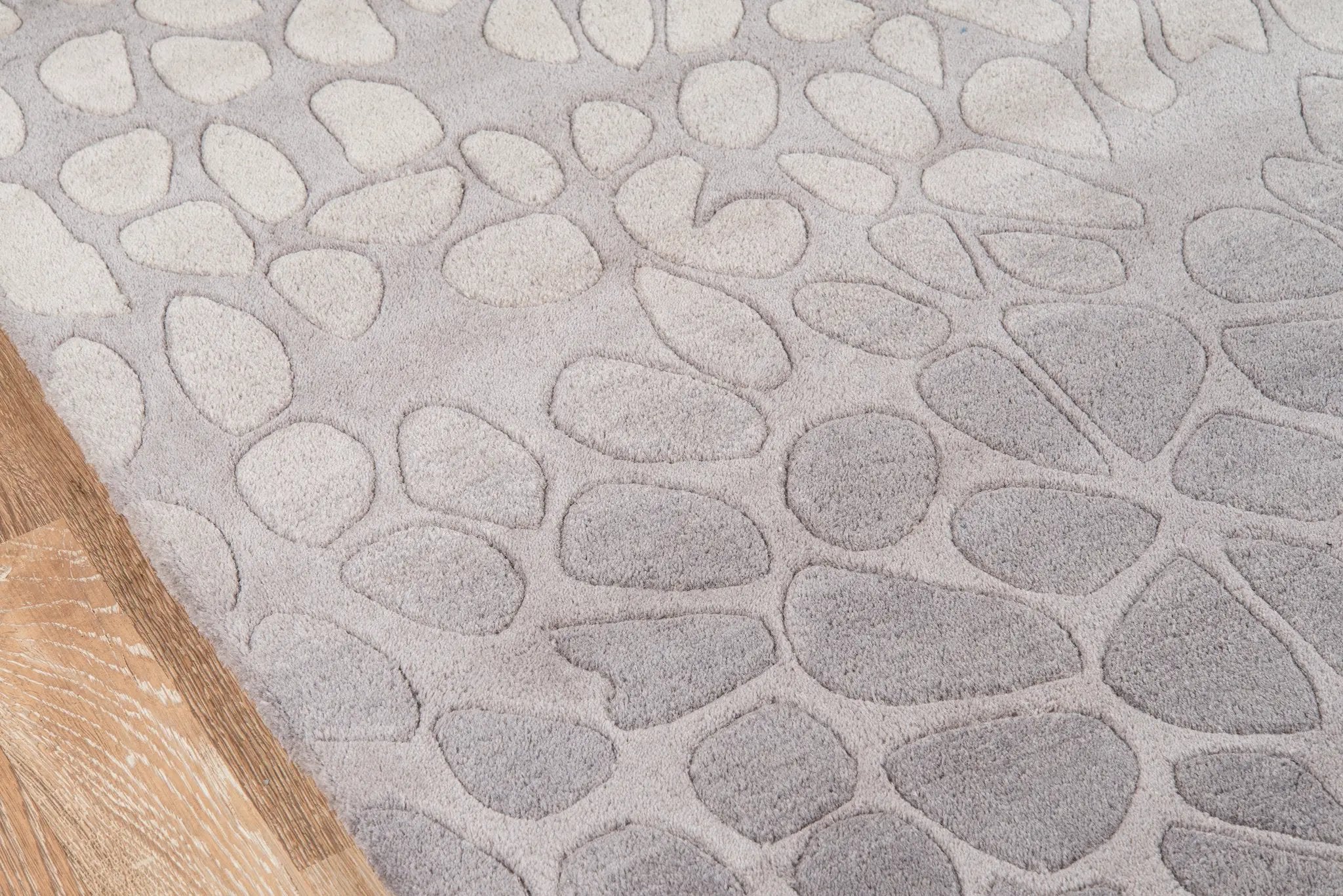 Delhi DL-33 Silver Area Rug by Momeni
