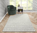 Novogratz Delmar DEL11 Gray Area Rug by Momeni