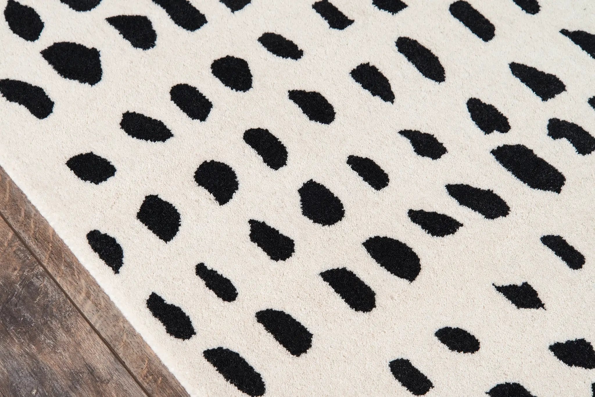 Delmar DEL-11 (Boho Dots) Ivory Area Rug by Novogratz by Momeni