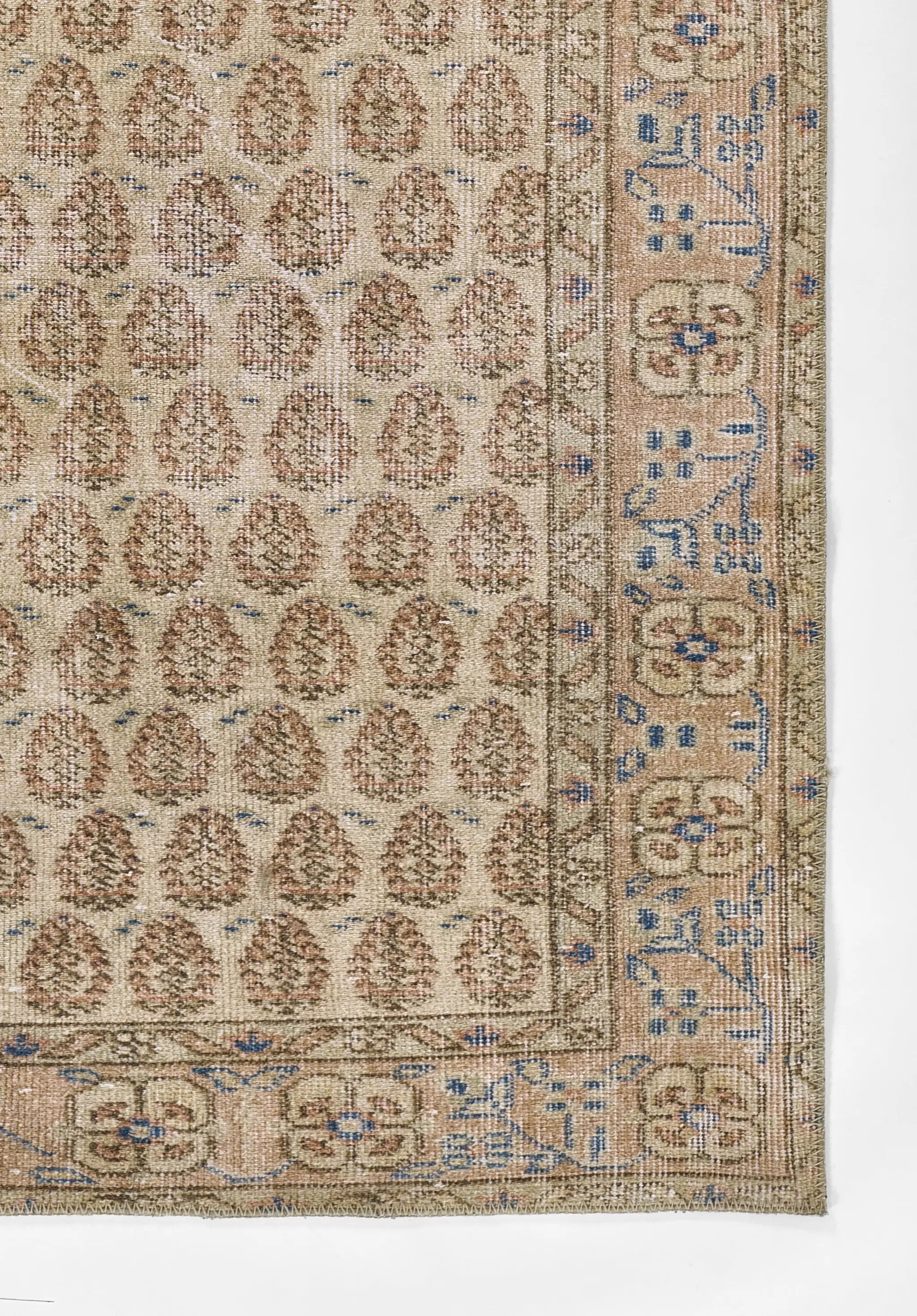 Dorset DOR-2 (Woodstock) Blush Area Rug by Erin Gates by Momeni