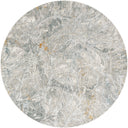 Surya Dresden DRE-2317 White Area Rug by LIVABLISS