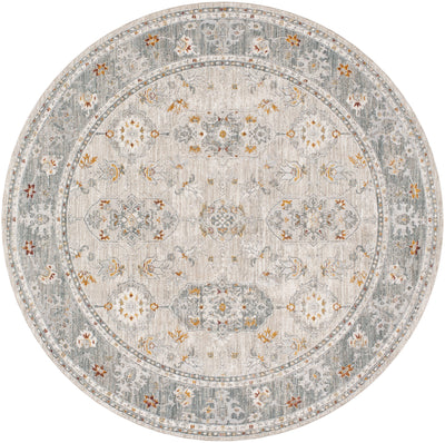 Surya Dresden DRE-2325 Medium Gray Area Rug by LIVABLISS