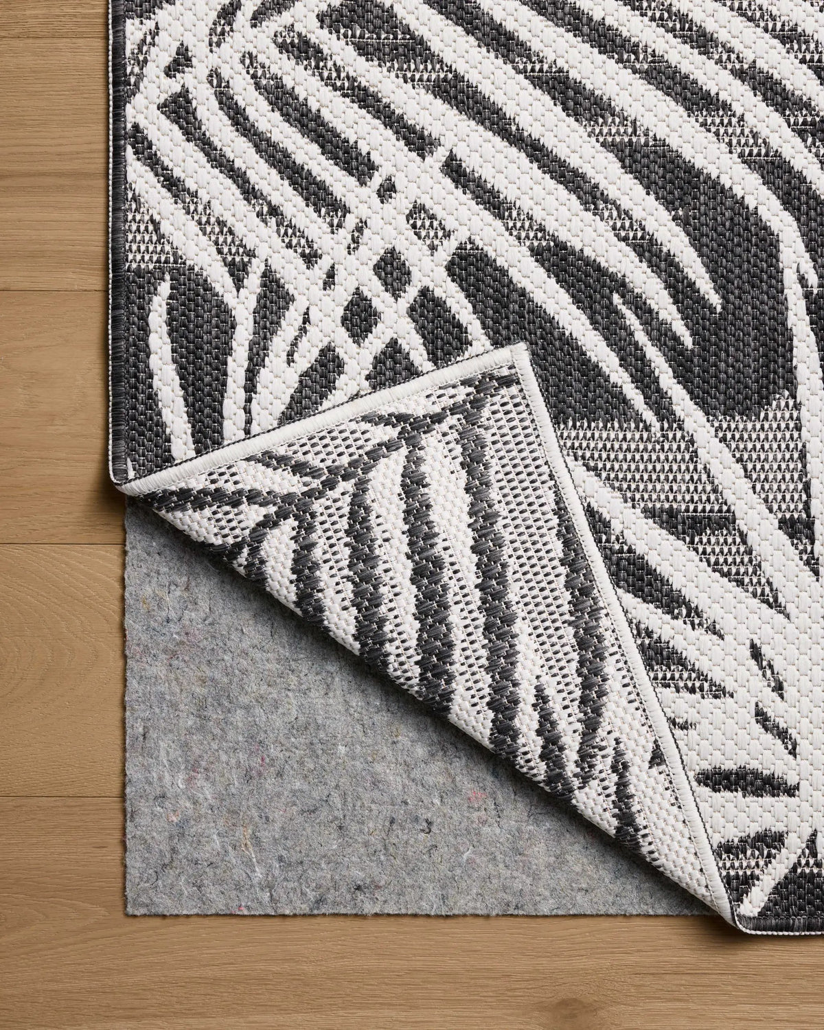 Easton ESN-09 Ivory / Onyx Area Rug by Loloi