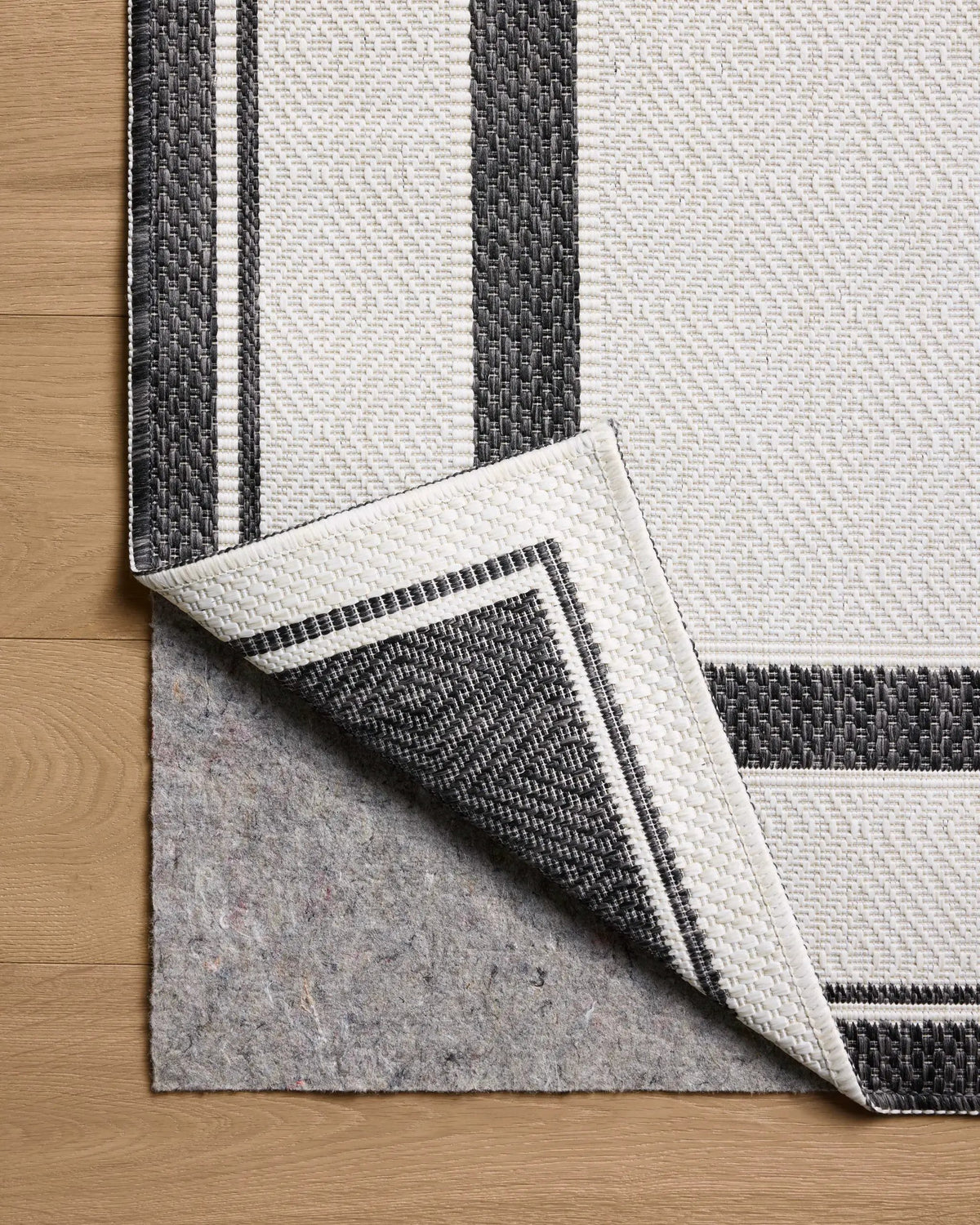 Easton ESN-11 Onyx / Ivory Area Rug by Loloi