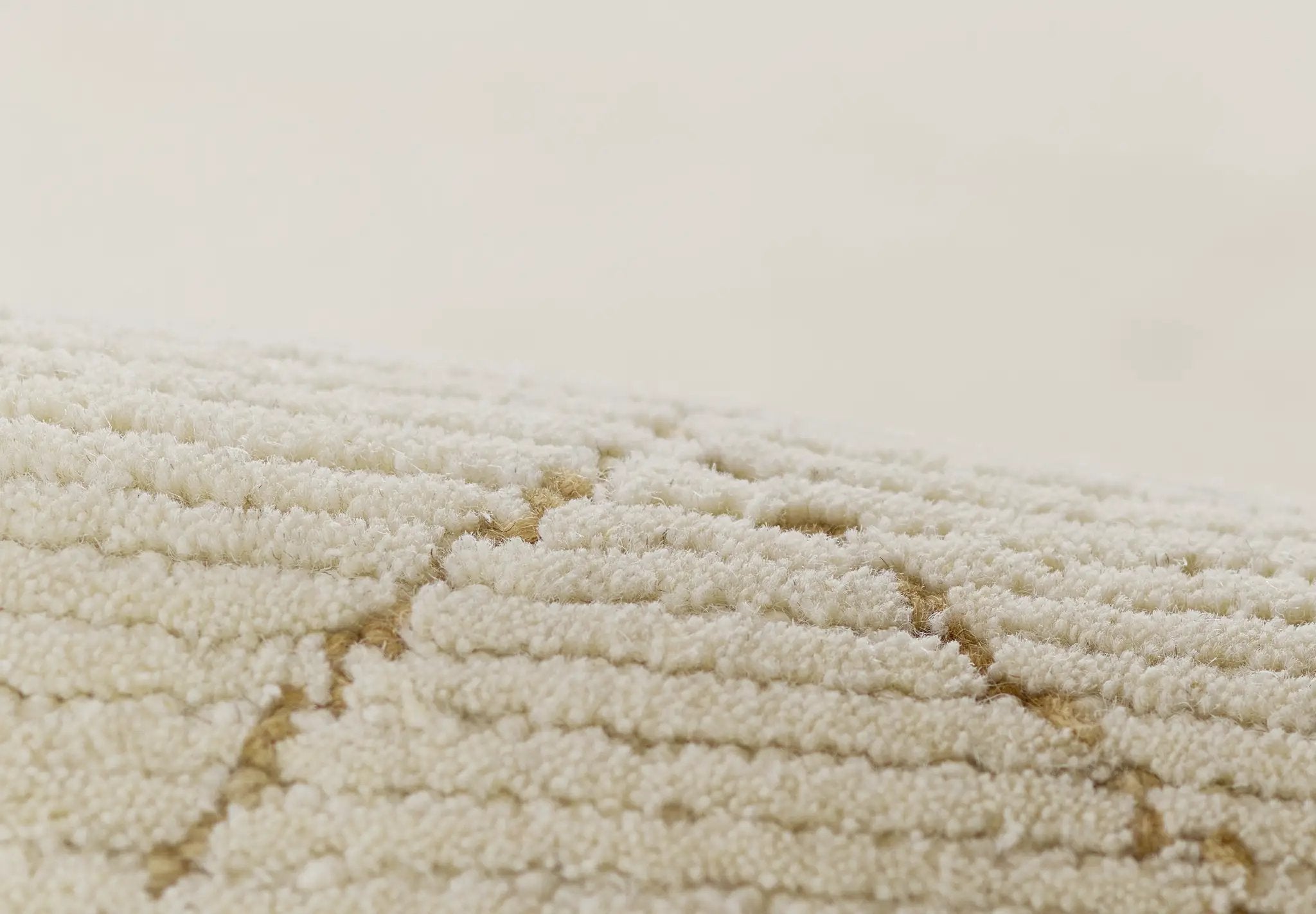 Everett EVT-4 Ivory Area Rug by Momeni
