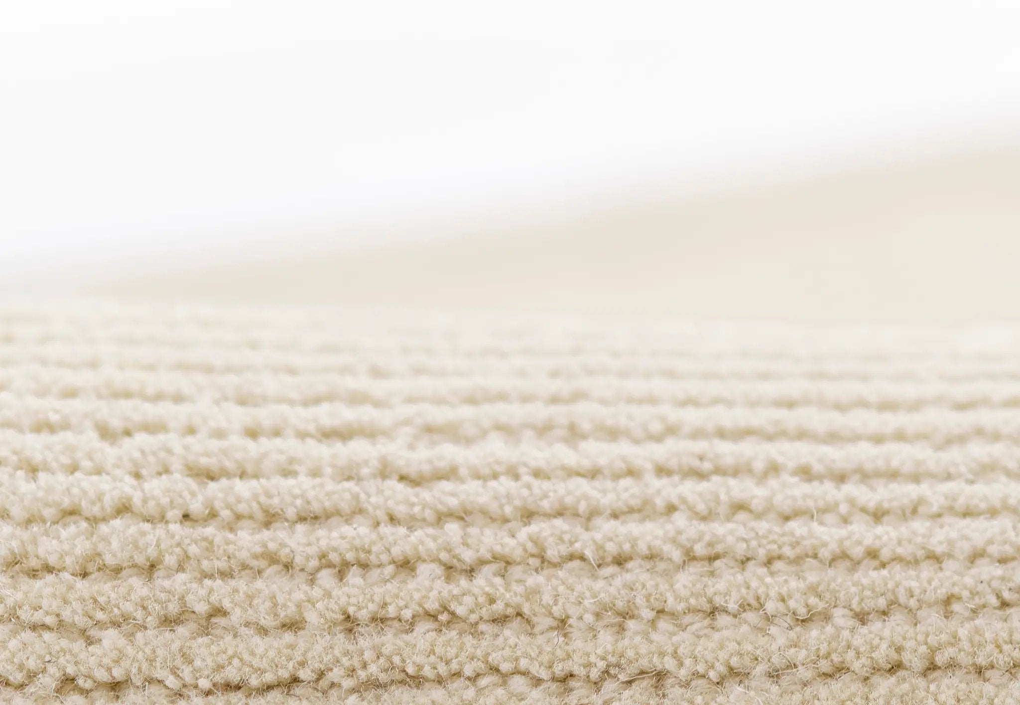Everett EVT-8 Ivory Area Rug by Momeni