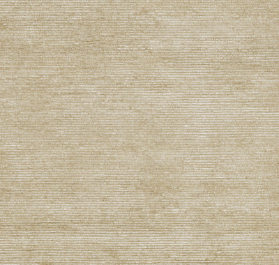 Momeni Everett EVT-8 Taupe Hand Tufted Area Rug