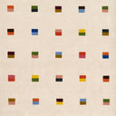 Momeni Form FRM-1 Multicolor Area Rug