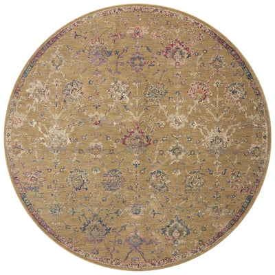 Giada GIA-05 Gold / Multi Area Rug by Loloi
