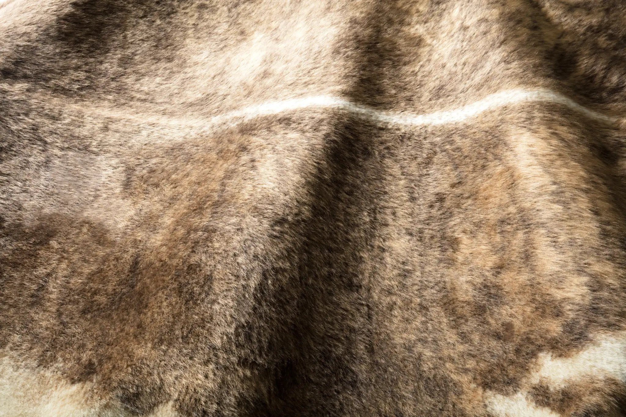 Grand Canyon GC-01 Camel / Beige Area Rug by Loloi